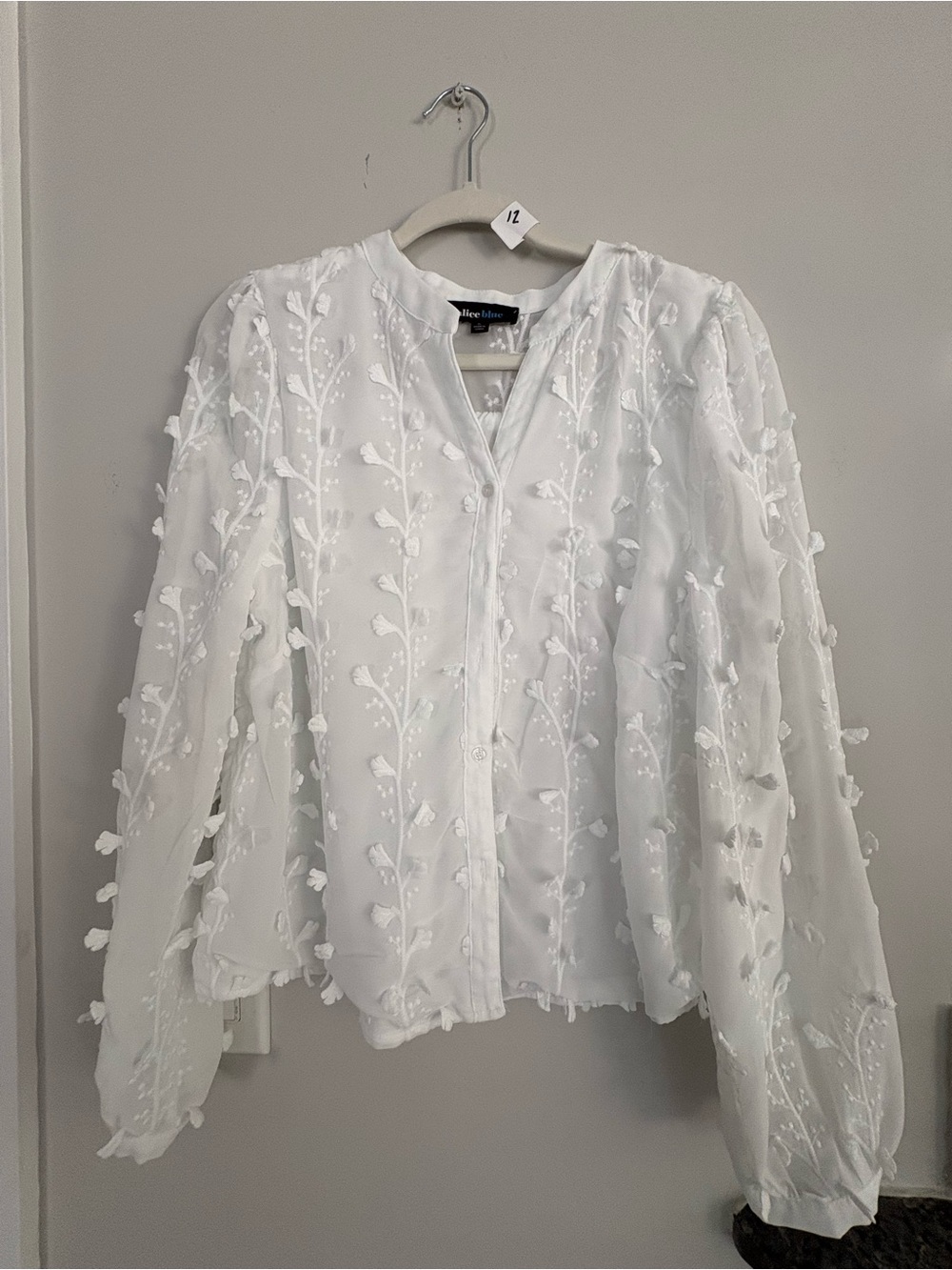 Alice Blue White Sheer Floral-Appliqué Button Front Blouse